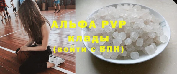 PSILOCYBIN Горно-Алтайск