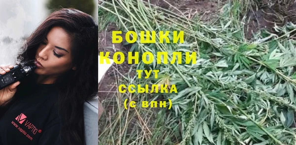 PSILOCYBIN Горно-Алтайск