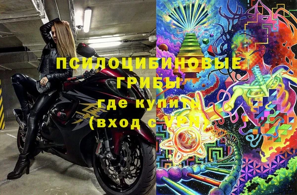 мяу мяу мука Горняк