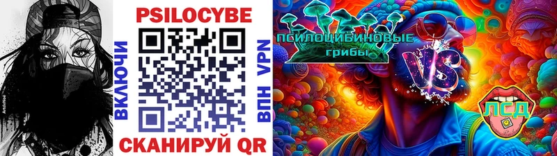 хочу   Красноярск  Псилоцибиновые грибы Psilocybine cubensis 
